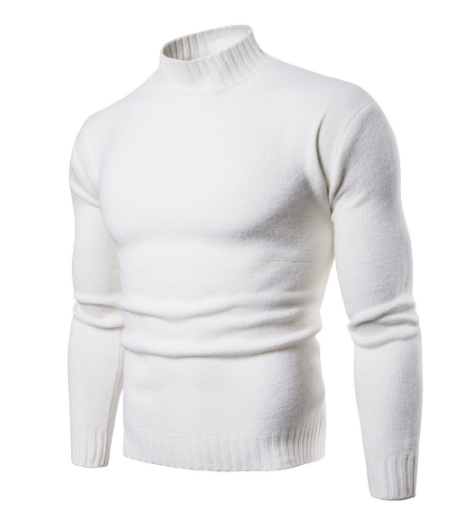 Herren Feinstrickpullover mit modischem Stehkragen